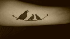 two birds sitting on a branch with one bird perched on top of the other tattoo