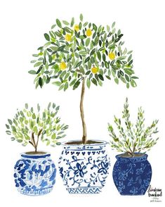 three blue and white vases with lemon trees in them, one is painted yellow