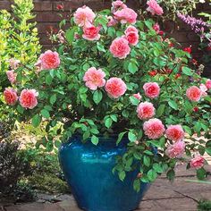 a large blue vase filled with pink flowers