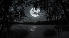 the full moon is seen through some trees over a body of water in black and white