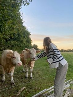 a woman is feeding two cows behind a barbed wire fence in a field at sunset