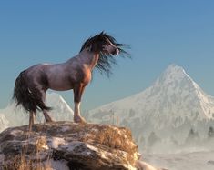 a horse standing on top of a rock in the snow