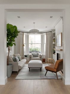 a living room filled with furniture and a fire place next to a large potted plant