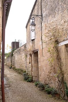 an alley way between two stone buildings with vines growing on the wall and one light hanging over it