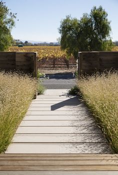 a wooden walkway leads to an open field