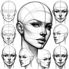 an image of a woman's head with various facial shapes and haircuts