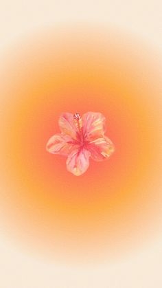 an orange and pink flower in the middle of a yellow background