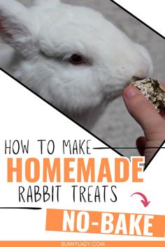 a person feeding a white rabbit with food in it's mouth and the words how to make homemade rabbit treats no - bake