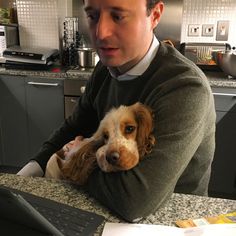 a man sitting at a kitchen counter holding a small brown and white dog in his lap