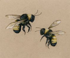 two bees are flying in the air with their heads turned to look like they are facing each other