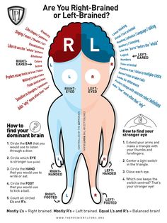 Left Vs Right Brain, Brain Anatomy And Function, Brain Diagram, Left Brain Right Brain, Brain Parts, Left Brain, Study Strategies, Brain Learning, Brain Facts