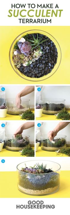 how to make a succulent terrarium in a glass bowl with rocks and plants