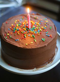 a chocolate birthday cake with sprinkles and a single lit candle on top