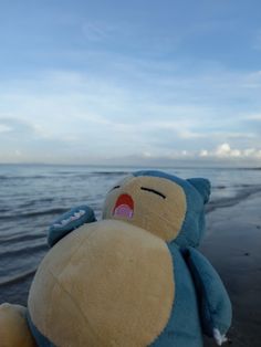 a teddy bear is sitting on the beach