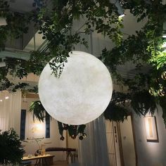 a large white ball hanging from the ceiling in a room filled with plants and furniture