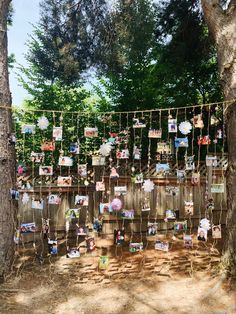 many pictures are hung on a rope in the woods with trees around them and hanging from clothes pins