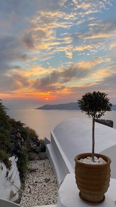 a potted plant sitting on top of a white roof next to the ocean at sunset