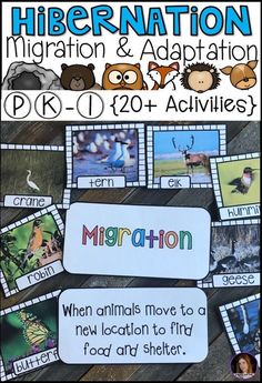 an animal themed poster with information about the different animals and their habitats for kids to learn