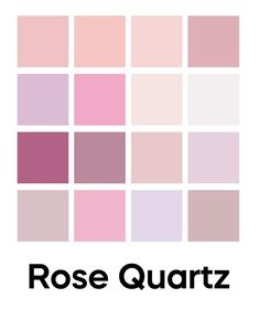 the rose quartz logo is shown in black and pinks, with white squares behind it