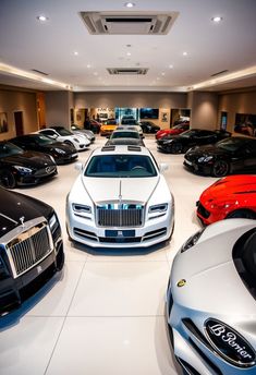 a bunch of cars that are sitting in a showroom with no one around them