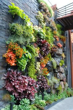 a wall covered in lots of different types of plants and flowers next to a building