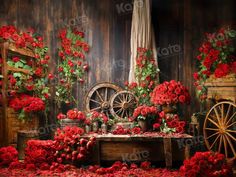 red flowers are on display in front of an old wooden wall and wagon with wheels