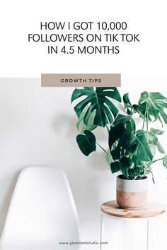 a potted plant sitting on top of a table next to a white chair