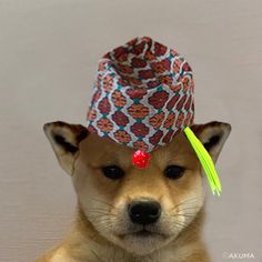 a dog with a hat on its head and a tassel around it's ears