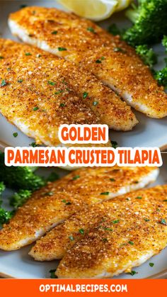 golden parmesan crusted tilapia on a plate with broccoli