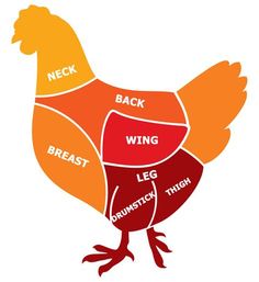 a chicken with the words neck, wing and leg labeled