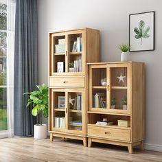 a living room scene with focus on the bookshelf and plant in the corner