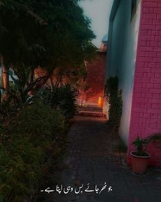 an alley way with potted plants on either side and a pink building in the background