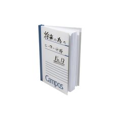 an open book with writing on the front and back pages, in chinese characters are shown