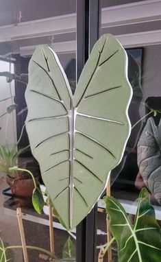 two large green leaves sitting on top of a window sill next to potted plants