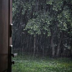 an open door with trees in the background and rain coming down on it, as seen from outside