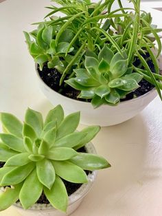 two potted plants sitting on top of a white table next to each other,