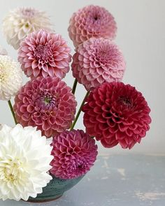 a vase filled with lots of pink and white flowers