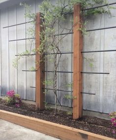 a small tree is growing between two wooden posts