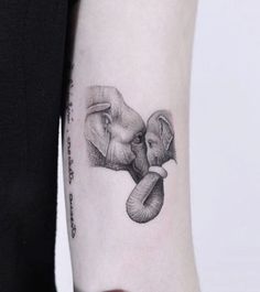 an elephant tattoo on the right arm and left arm, with two elephants touching each other's trunks