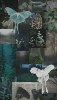 a collage of images with white butterflies and trees