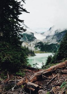 there is a mountain lake in the middle of some trees and grass on the ground