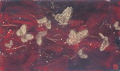 a group of butterflies sitting on top of a red cloth covered in white dots and stars