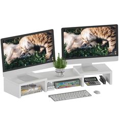 two computer monitors sitting next to each other on top of a white shelf with books