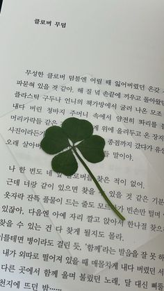 a four leaf clover on top of a piece of paper with writing in the background