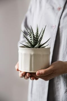 a person holding a potted plant in their hands