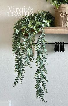 a potted plant is hanging from a shelf