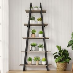 a wooden shelf filled with potted plants on top of a hard wood floor