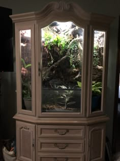 an old china cabinet is turned into a fish tank with plants growing in the bottom