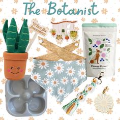 an assortment of items that include a potted plant