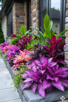 purple flowers are growing in the corner of a brick planter on a sidewalk next to a house